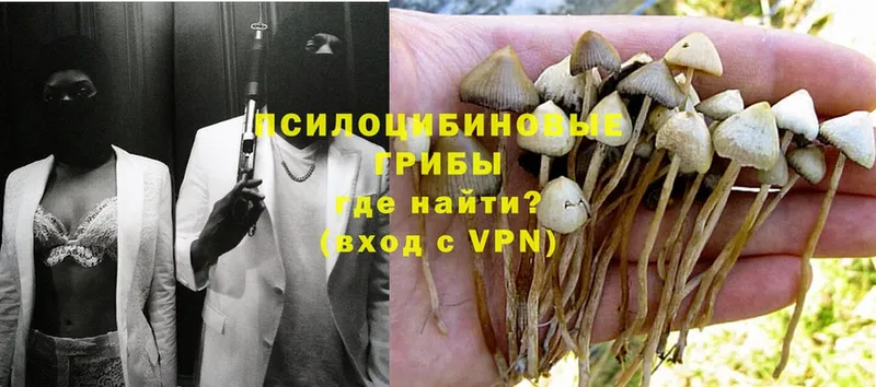 Псилоцибиновые грибы Magic Shrooms  Куйбышев 