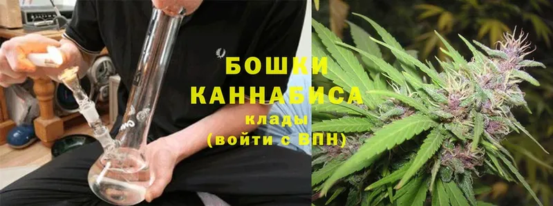 Бошки марихуана Amnesia  дарк нет телеграм  Куйбышев  где купить  